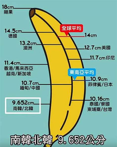 生殖器長|人類陰莖